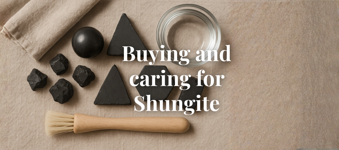 Flat lay of various Shungite pieces with a soft cloth, brush, and bowl of water for cleaning.