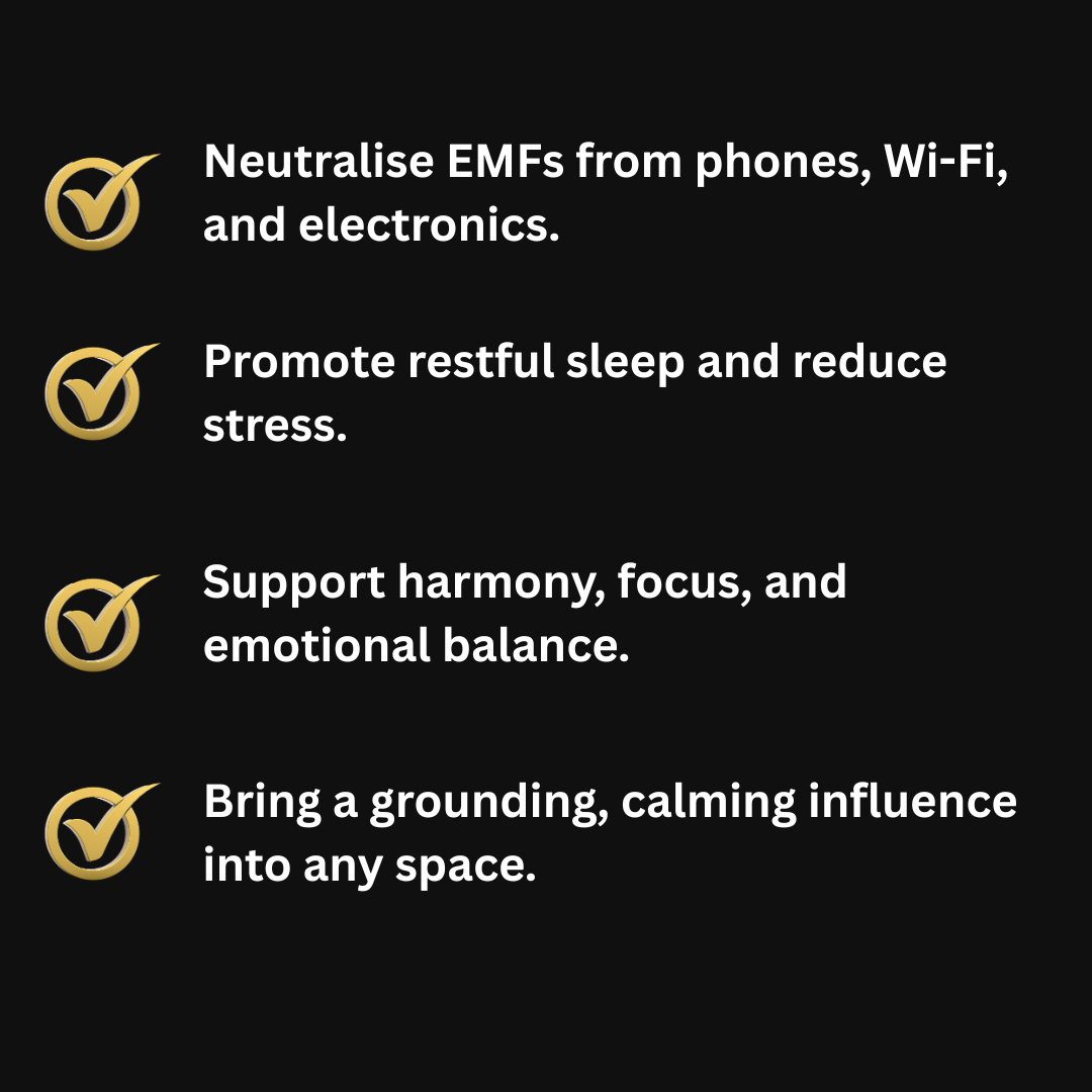 Shungite Spheres – Radiant Harmony & 360° Protection